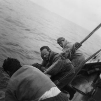 Marc Péchenart et ses équipiers aux prises avec un requin à l'avant du Tohy - 1958 - 24Fi23935