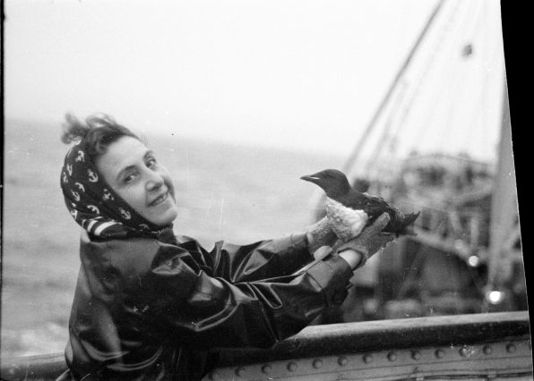 Chalutier Terre-Neuvas Bois Rosé - portrait d'Anita Conti tenant un guillemot - 1952