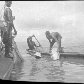 Guinée - pêche au poisson-scie - 1946-1949