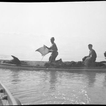 Guinée - pêcheurs sur une pirogue - 1946-1949