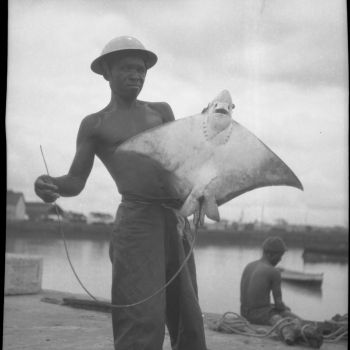 Guinée - portrait d'un pêcheur avec une raie - 1946-1949