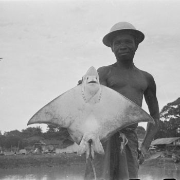 Guinée - portrait d'un pêcheur avec une raie - 1946-1949