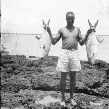 Guinée - portrait d'un pêcheur avec des poissons - 1946-1949