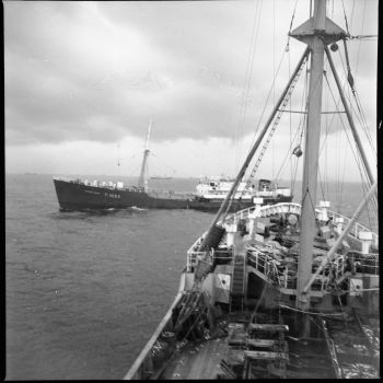 Chalutier Terre-Neuvas Bois Rosé - navire F1097 croisé pendant le travail - 1952