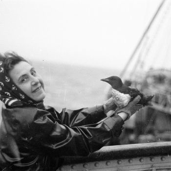 Chalutier Terre-Neuvas Bois Rosé - portrait d'Anita Conti tenant un guillemot - 1952