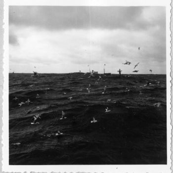 Chalutier en mer - photographie prise à bord du chalutier Terre Neuvas Bois Rosé - 1952