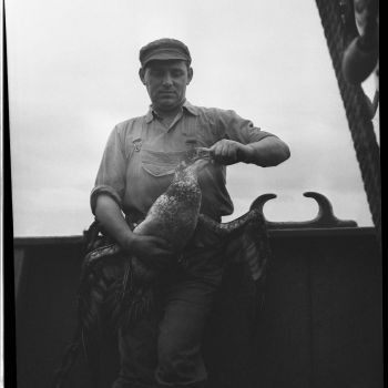 Chalutier Galibier - pêcheur avec un fou de bassan 1958