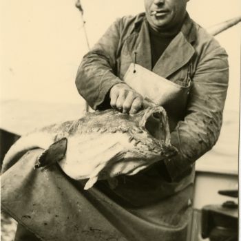Chalutier Galibier - pêcheur posant avec un poisson - 1958