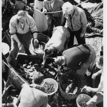 Navire océanographique Président Théodore Tissier - échantillonnage - 1958-1959