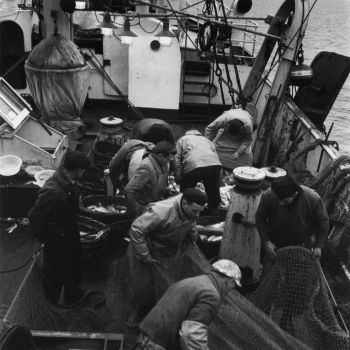 Navire océanographique Président Théodore Tissier - ramendage et échantillonnage - 1958-1959