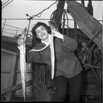 Anita Conti présentant des poissons sabre à bord du chalutier Deux Amis - 1960-1961