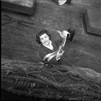 Anita Conti présentant des poissons sabre - 1961