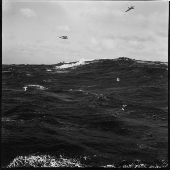 Paysage de mer - photographie prise à bord du chalutier Deux Amis - 1960-1961