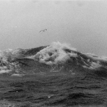 Paysage de mer - photographie prise à bord du chalutier Charcot - 1974-1975