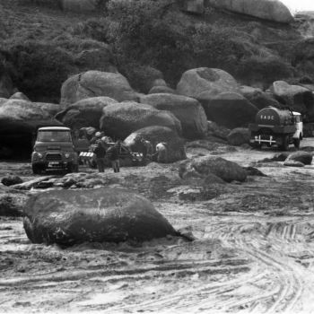 Nettoyage des plages de la côte de Granit Rose - 1967