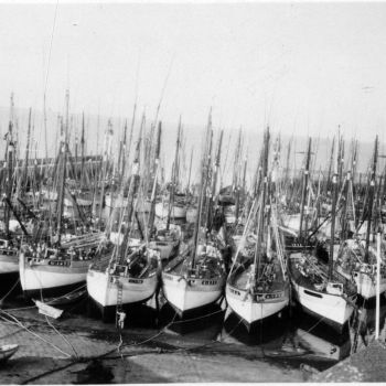 Groix  - pêche au thon - 1935