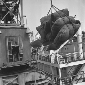 Oran - déchargement de navires - 1941