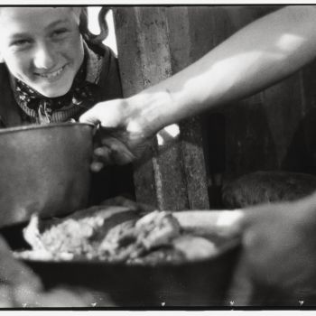 Chalutier Terre Neuvas Bois Rosé   les cuisines 1952