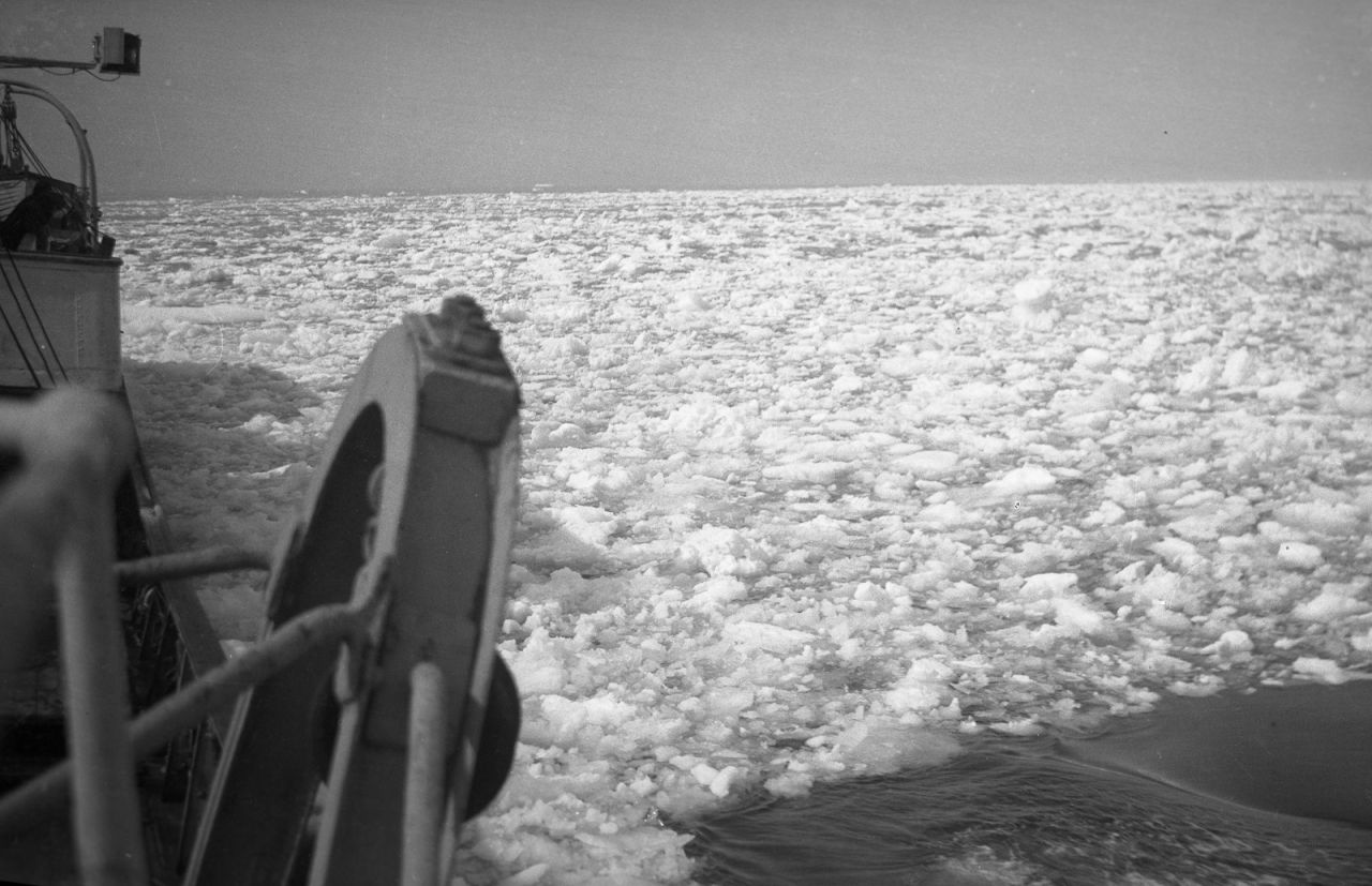 Chalutier Terre-Neuvas Vikings  - mer glacée vue du navire - 1939